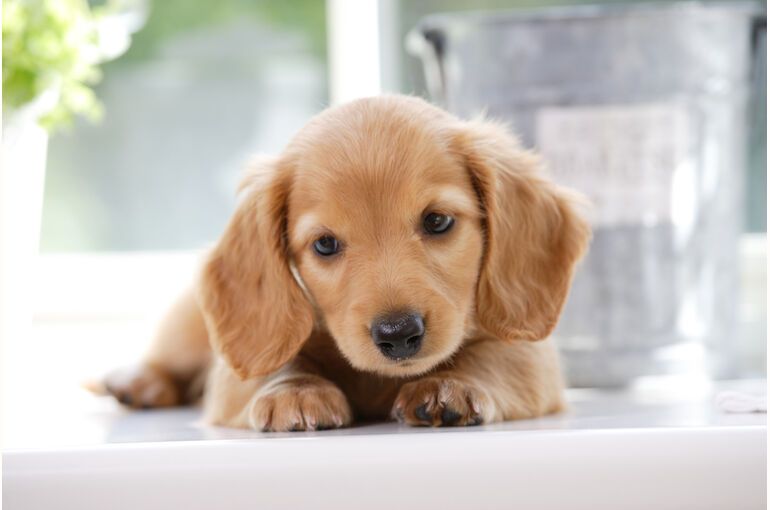 AdobeStock_33792681